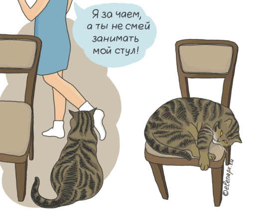 Не смей занимать мой стул